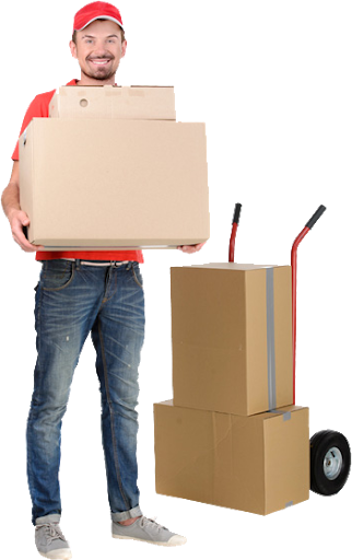 Packers Movers Worker